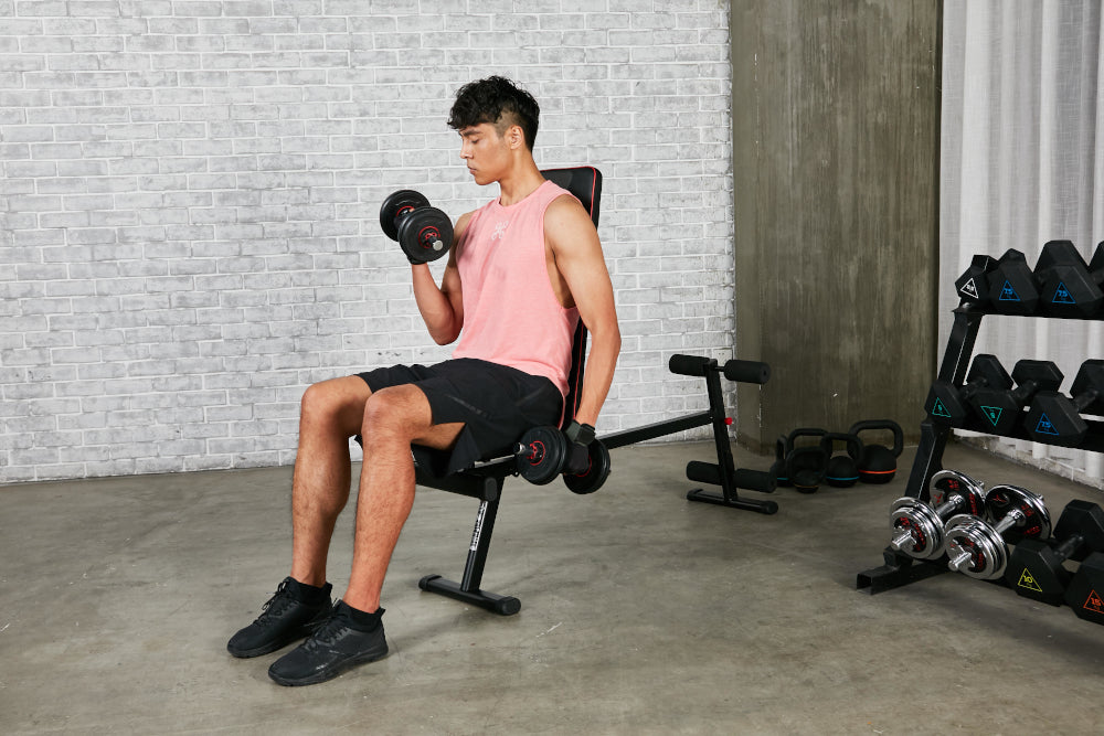 Your Full Body Program