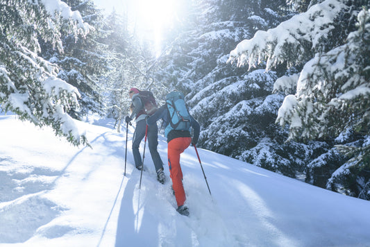 How to Choose Your Nordic Walking Poles