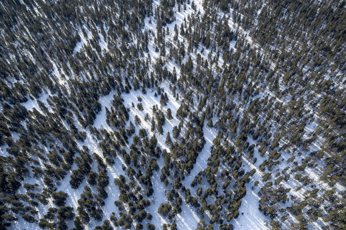 10 Top Tips for Hiking in Winter