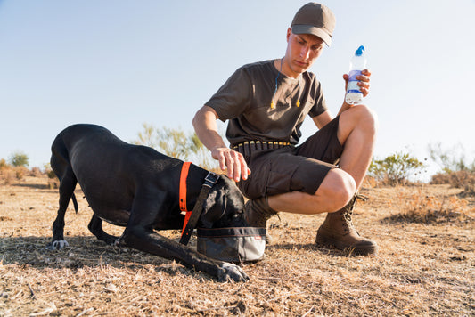 Should You Eat Before or After Exercise?