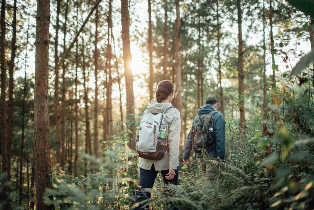 Quechua brand backpack outlet
