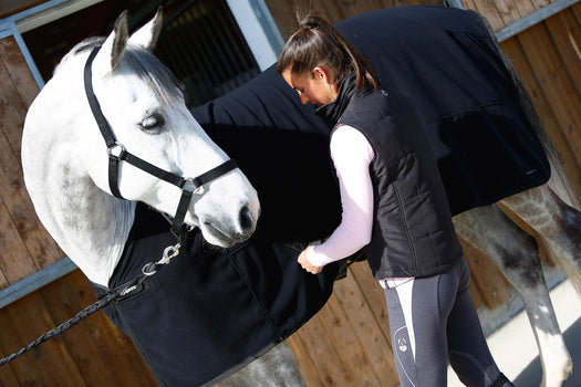 Fouganza Horseback Riding Schooling Halter for Horse and Pony, black Image 4 of 5