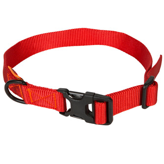 Dog Collar 100, Image of
