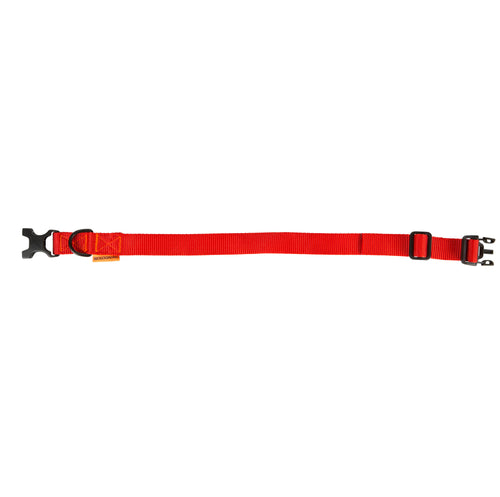A photo of the Dog Collar 100 in use