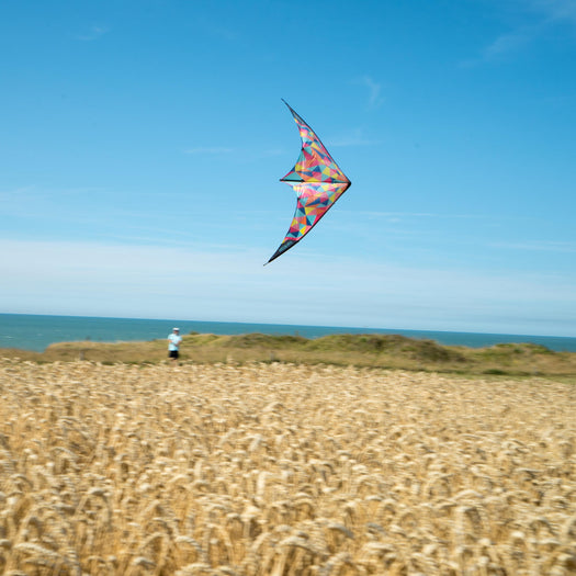 FEEL'R 160 STUNT KITE, unspecified Image 1 of 4
