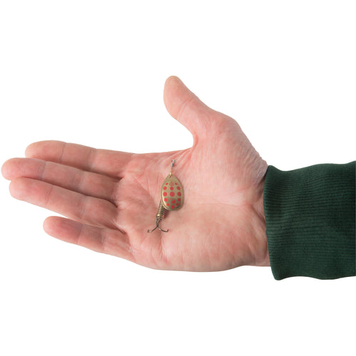 A photo of the Caperlan Weta Predator Fishing Spinner in use