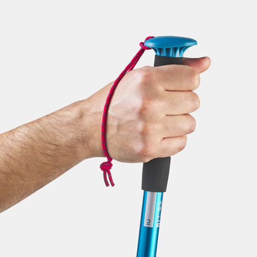 A photo of the Forclaz MT100 Hiking Pole (Single Pole) in use