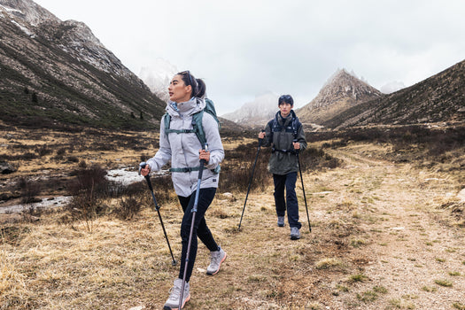 Forclaz MT 100 Easy Adjust Hiking Pole, black Image 3 of 5