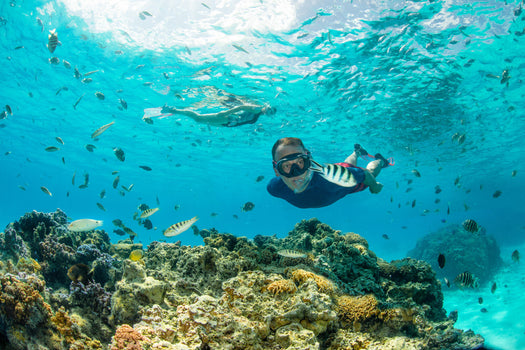 Diving snorkel with valve 100 storm grey, storm gray Image 1 of 2