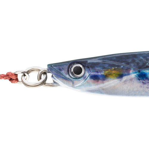 A photo of the CAPERLAN Biastos Assist 0.7oz - 2.4" Saltwater Casting Jig in use