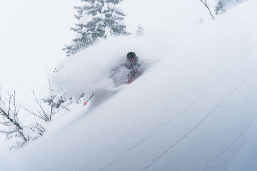 FREERIDE SKIS - POW CHASER 115 + LOOK PX 12 KONECT GW BINDINGS, unspecified Image 5 of 5