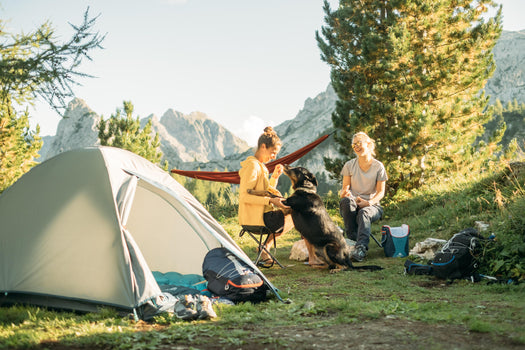 Quechua MH100 Waterproof Camping Tent 2 Person, gray Image 1 of 4