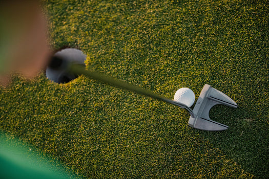 Inesis 100 Mallet Putter - Right Handed, unspecified Image 1 of 5