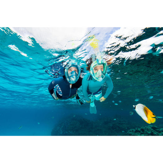 Adult's Easybreath Surface Mask Acoustic Valve - 540 Freetalk Jungle, blue Image 7 of 10