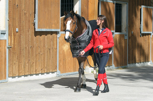 Horse Riding Stable Rug for Horses or Ponies Polar 800, black Image 5 of 5