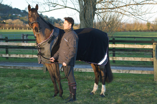 Horse Riding Stable Rug for Horses or Ponies Polar 800, black Image 3 of 5