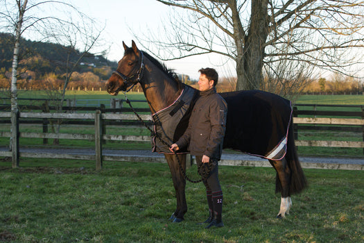 Horse Riding Stable Rug for Horses or Ponies Polar 800, black Image 1 of 5