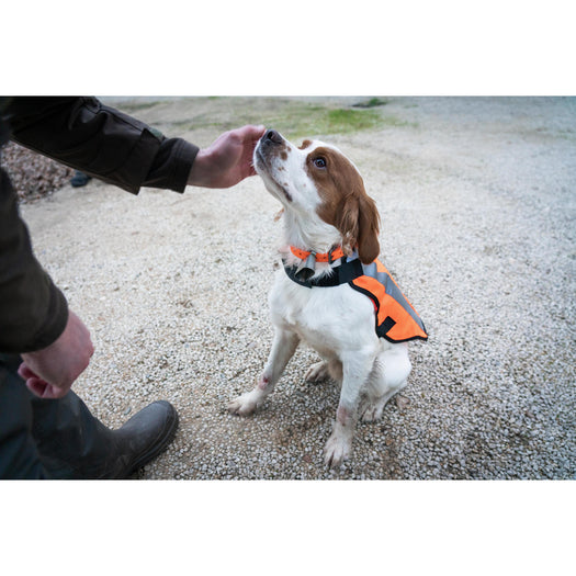 100 HUNTING DOG JACKET - YELLOW, fluoresent yellow Image 1 of 5
