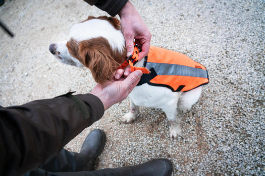 100 HUNTING DOG JACKET - YELLOW, fluoresent yellow Image 5 of 5