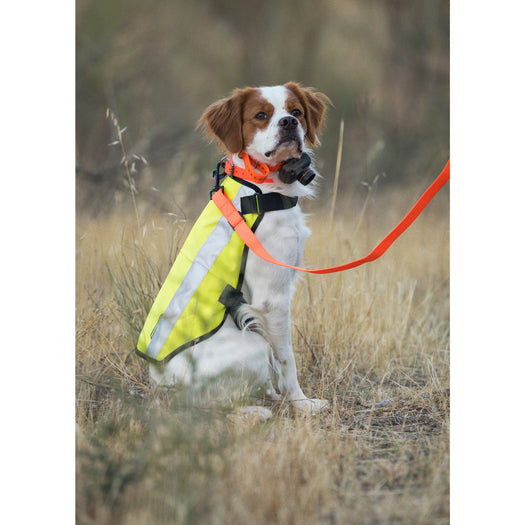 100 HUNTING DOG JACKET - YELLOW, fluoresent yellow Image 2 of 5