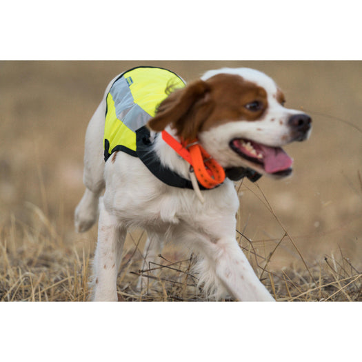 100 HUNTING DOG JACKET - YELLOW, fluoresent yellow Image 4 of 5