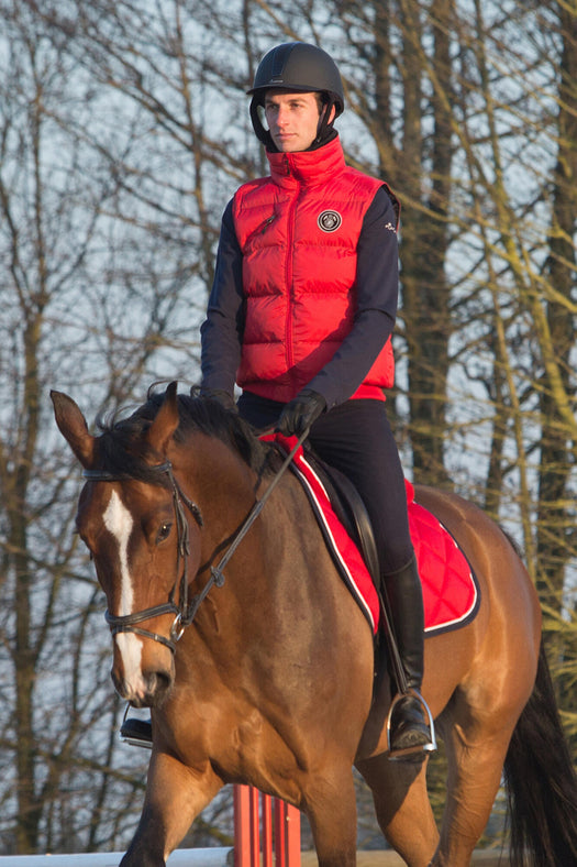 Horse Riding Gilet Paddock Warm, garnet red Image 3 of 4