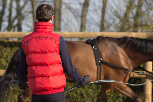 Horse Riding Gilet Paddock Warm, garnet red Image 2 of 4