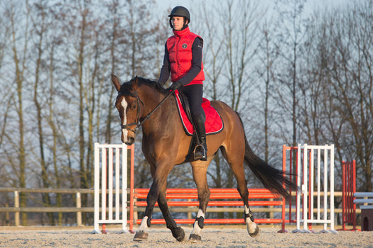 Horse Riding Gilet Paddock Warm, garnet red Image 4 of 4