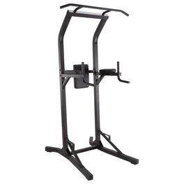 Domyos 900 Pull-Up and Dip Station, Image of
