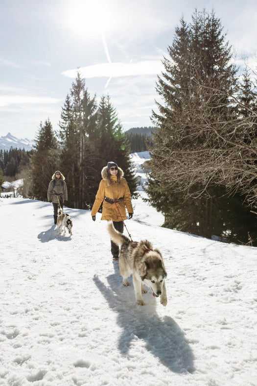 Women's Winter Waterproof Hiking Parka - SH500 U-WARM -20 degrees Celcius, light grey Image 4 of 5