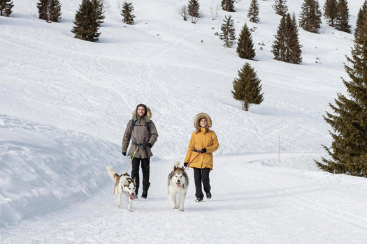 Women's Winter Waterproof Hiking Parka - SH500 U-WARM -20 degrees Celcius, light grey Image 1 of 5