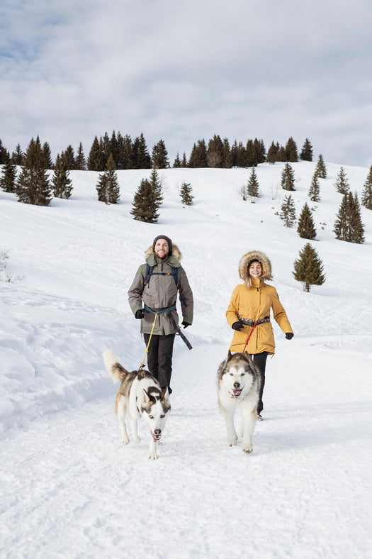 Women's Winter Waterproof Hiking Parka - SH500 U-WARM -20 degrees Celcius, light grey Image 2 of 5