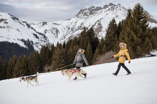 Women's Winter Waterproof Hiking Parka - SH500 U-WARM -20 degrees Celcius, light grey Image 3 of 5