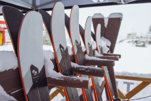 FREERIDE - ROOKIE + BINDINGS + TYROLIA PR11 GW, dark blue Image 2 of 5