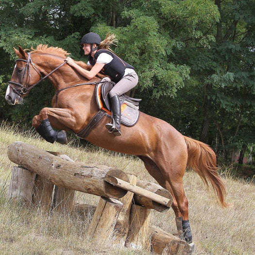 Horse Riding Girth For Horse/Pony Romeo, brown Image 5 of 5