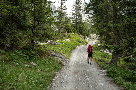 Person hiking in the forest