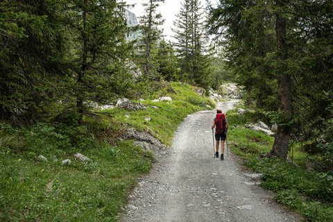 Person hiking in the forest
