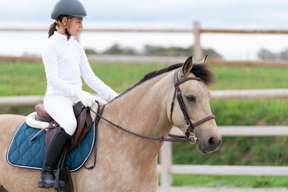 Horseback Riding: What Gear Do You Need?
