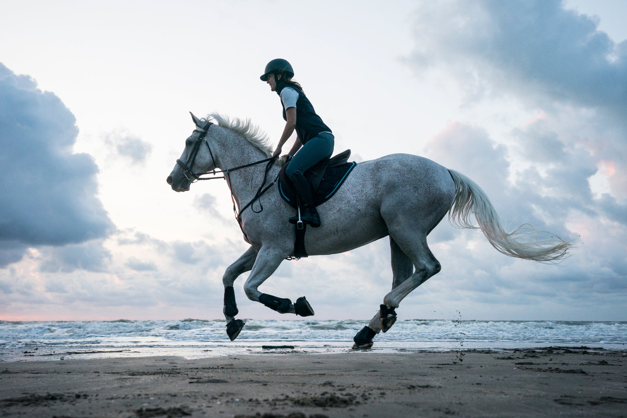 Meet Decathlon's Horse Riding Brand, Fouganza