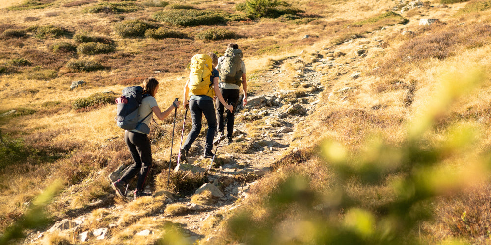 Decathlon deals trail backpack