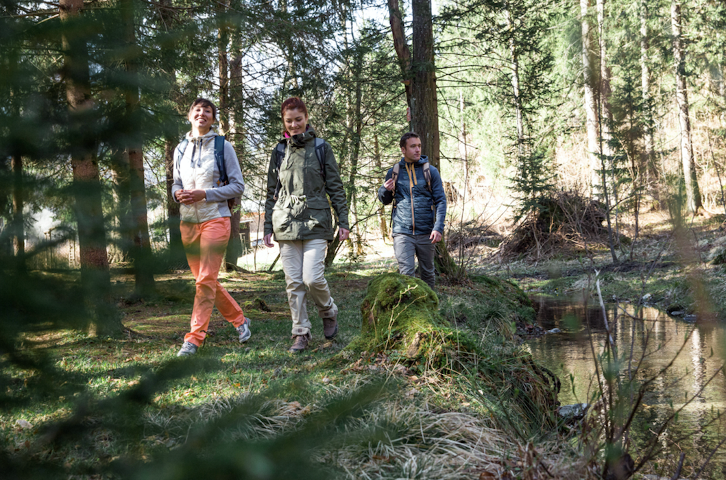 Hiking Locally: Explore the Treasures of Mt. Tam