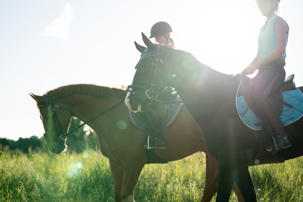 horse riding fouganza decathlon