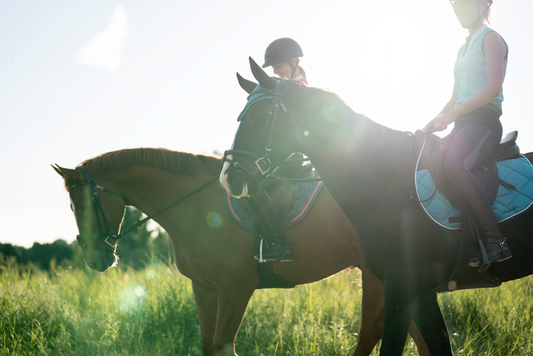 horse riding fouganza decathlon