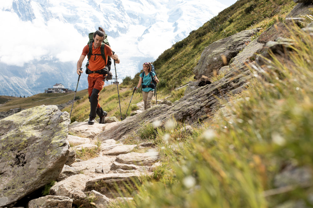 Why Choose Merino Wool?