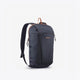 Abyss Gray - Quechua NH100 10 L Hiking Backpack