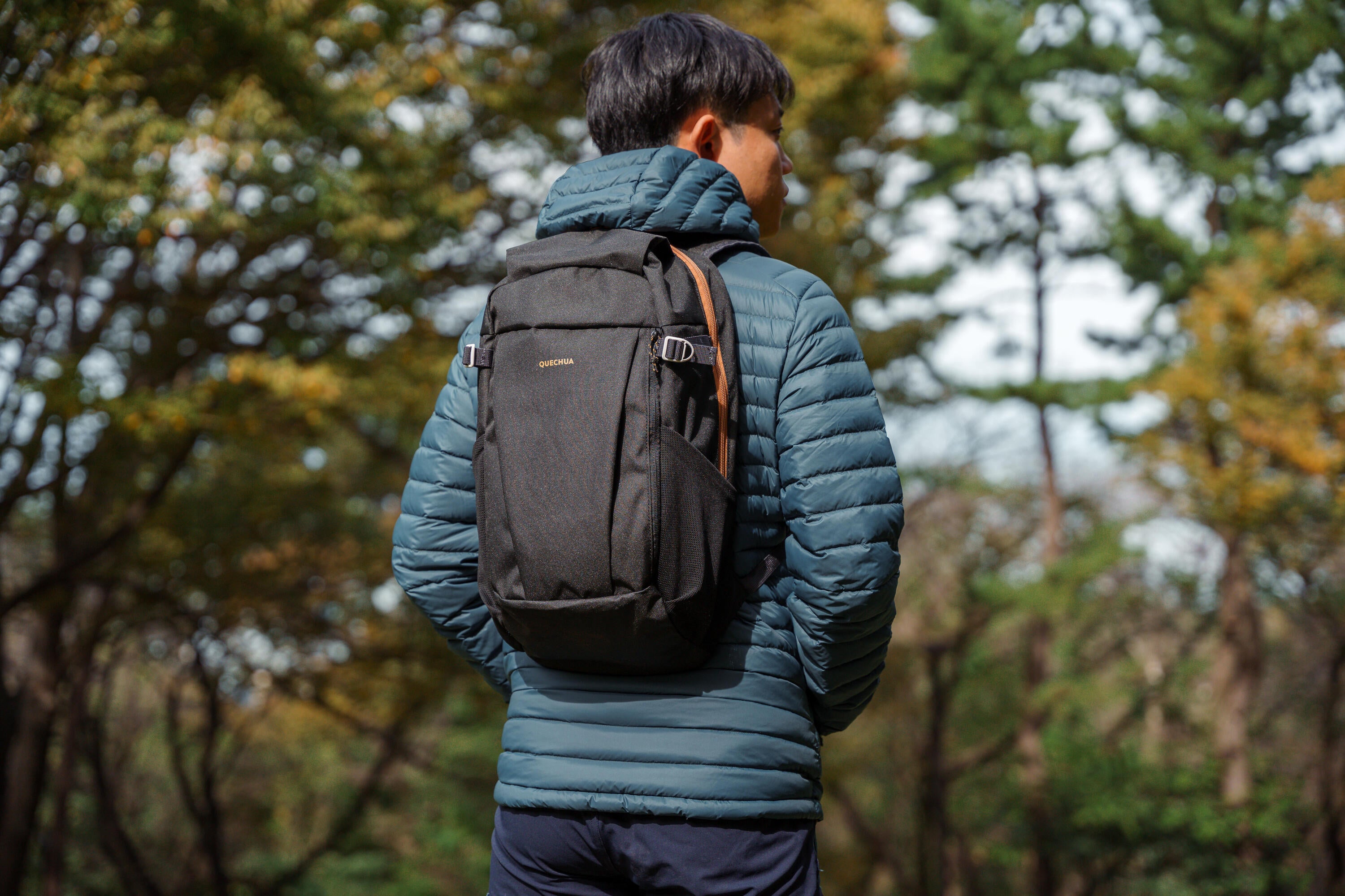 Person wearing a dark backpack in a forest setting
