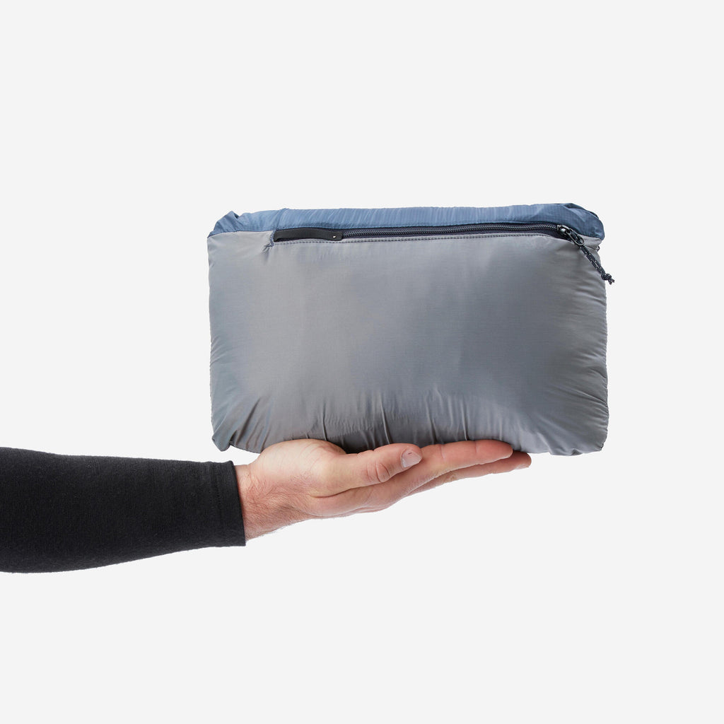 {*whale-gray-8573830*}