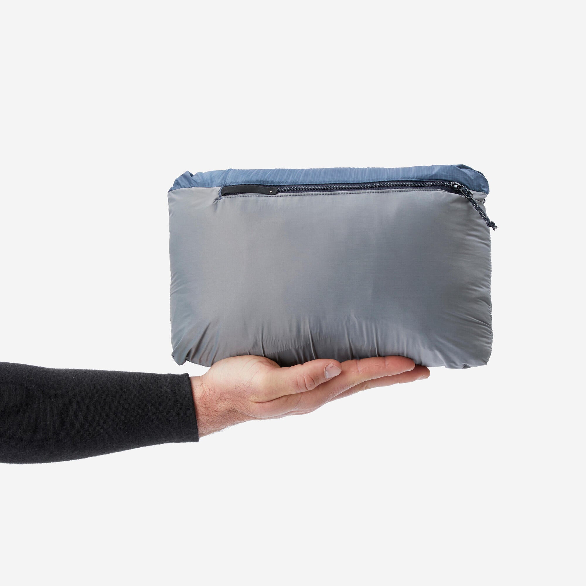 {*whale-gray-8573830*}