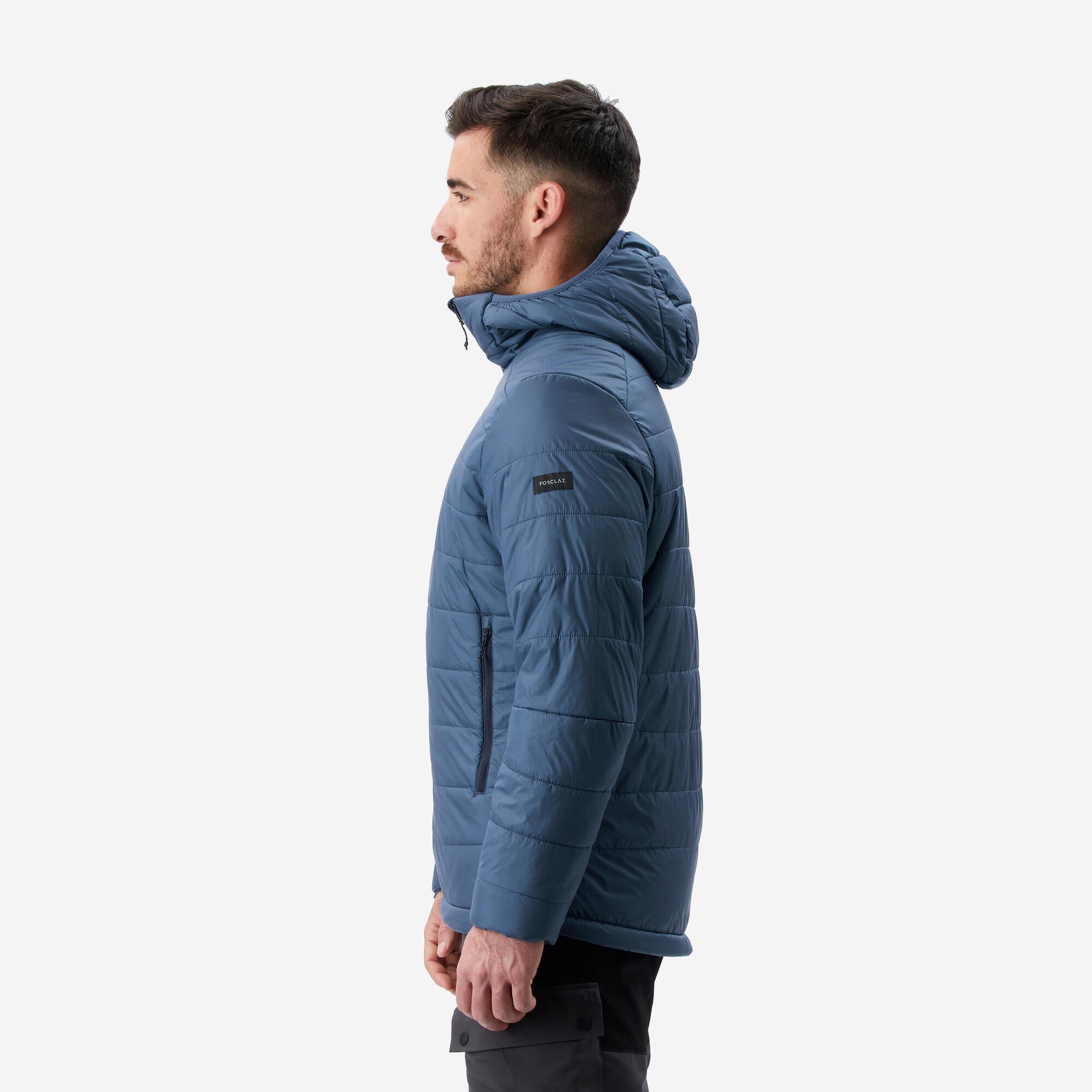 {*whale-gray-8573830*}