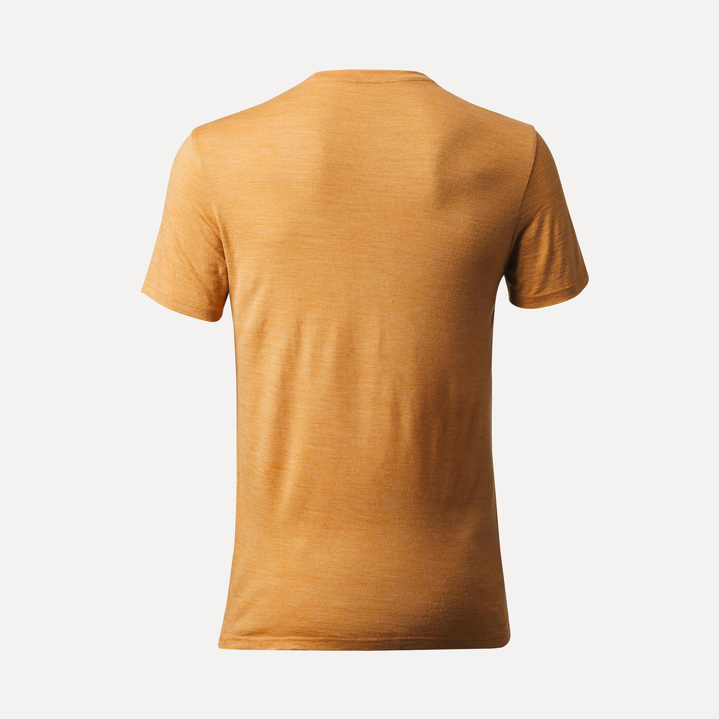 {*yellow-ochre-8573960*}